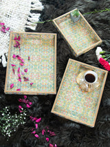 tray set